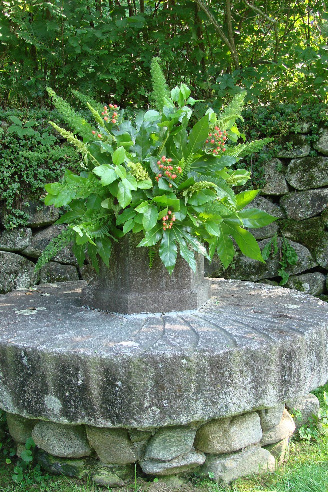 [DSC04769.JPG]