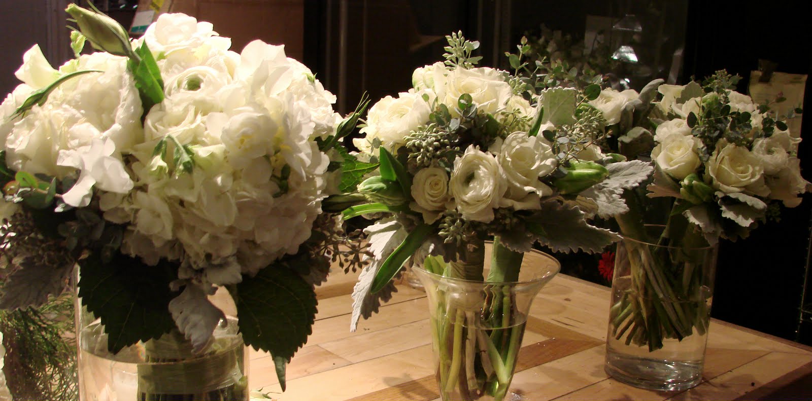 [DSC05758_edited-1.JPG]
