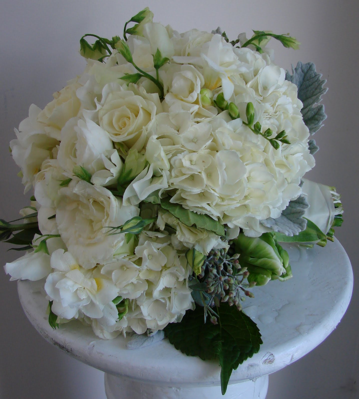 [DSC05778_edited-1.JPG]
