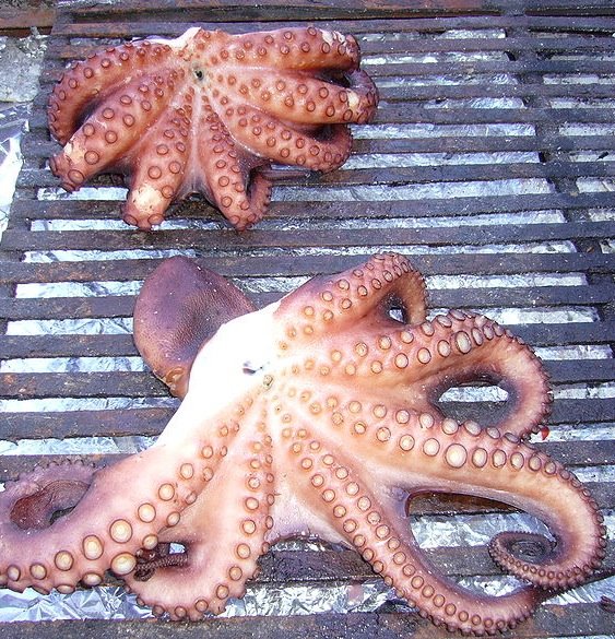 [GrilledOctopus.jpg]