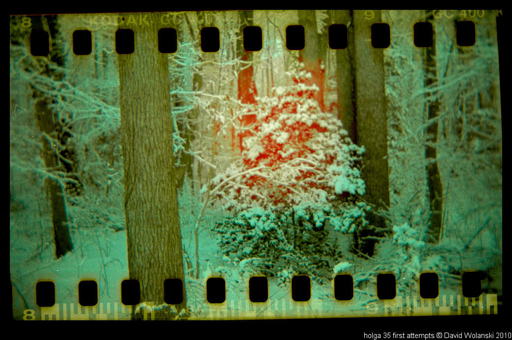 [holga+35010.jpg]