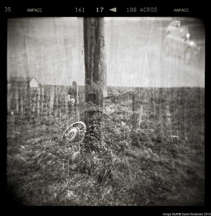 [holga+2-17-2010019.jpg]