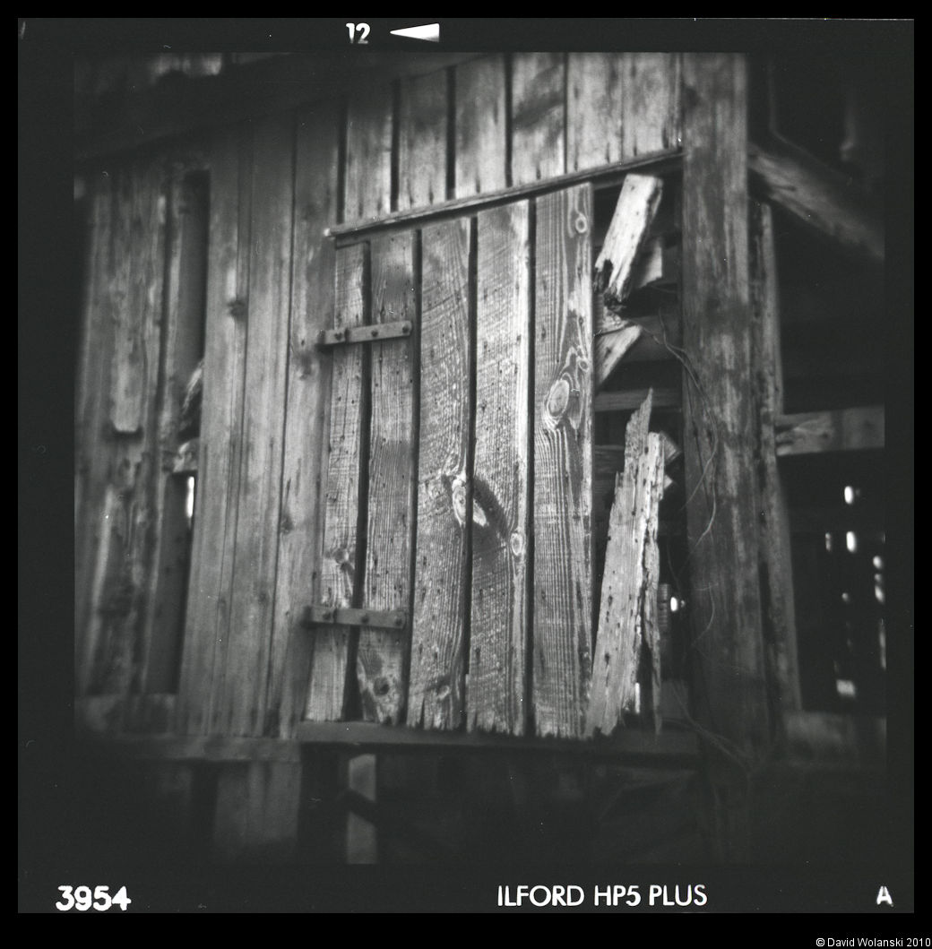 [holga+2-17-2010024.jpg]