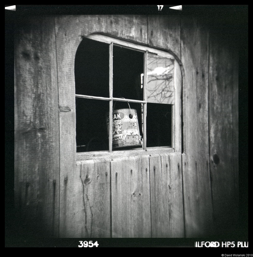 [holga+2-17-2010026.jpg]
