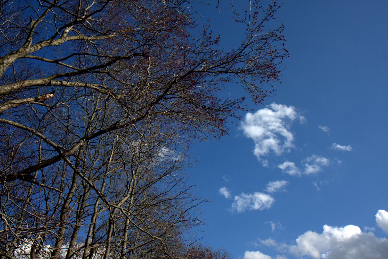 [IMG_6319.jpg]