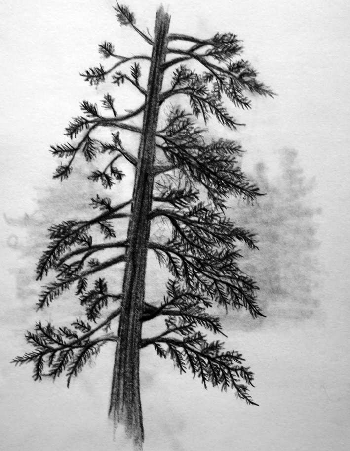 Artwork By Deanna: Sunday Sketches - Through the Trees