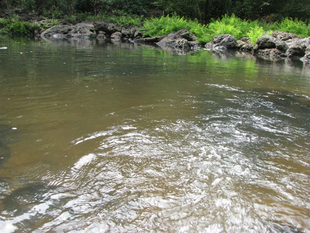 [IMG_0979.JPG]