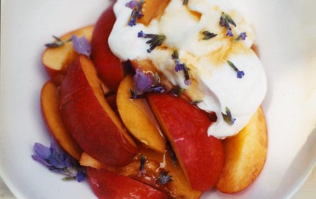[hoar_greek_yogurt_nectarine.jpg]