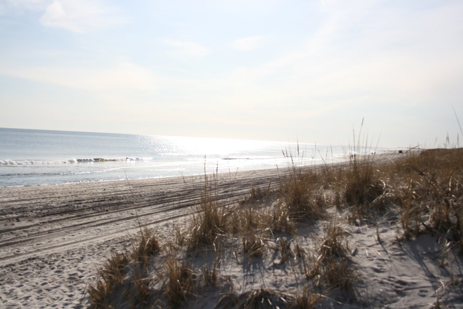 [IMG_7991.JPG]
