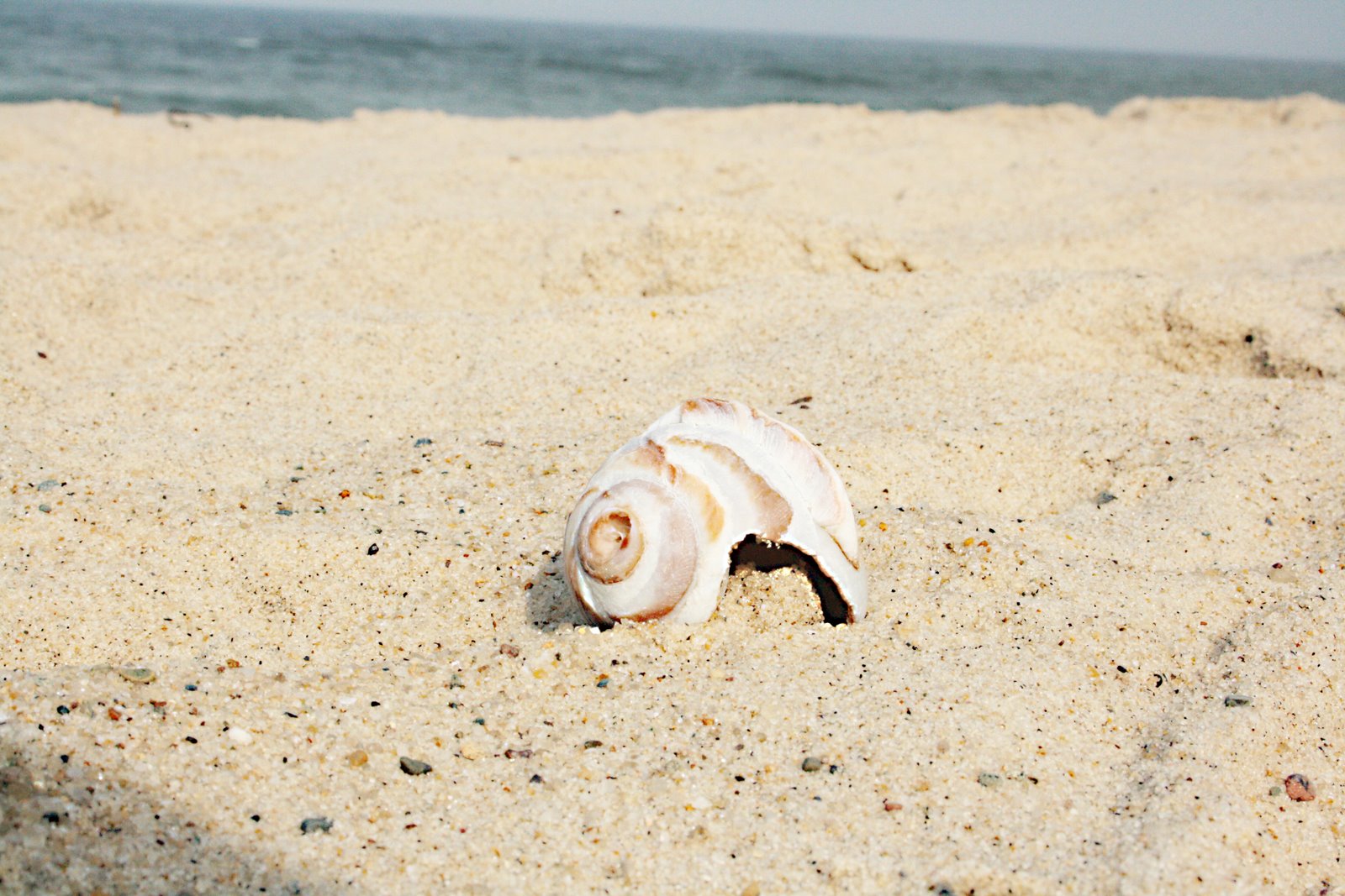 [IMG_8835+copy.jpg]