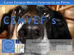 CEMVEFs 1ª fase