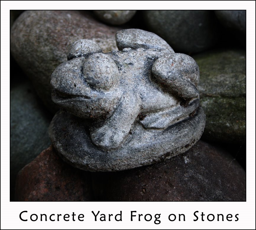 [concrete_frog_1.jpg]