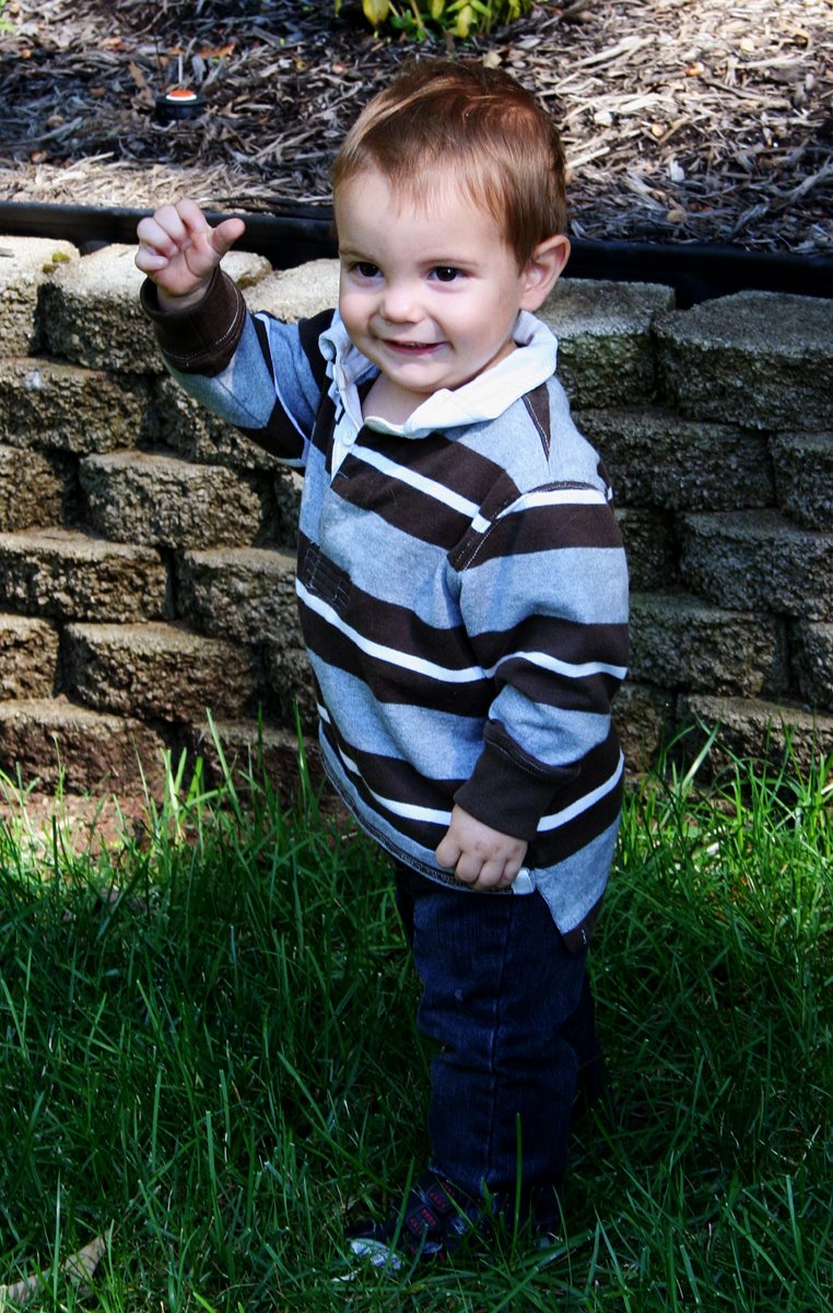 [IMG_9517_joey_12Oct2008.jpg]