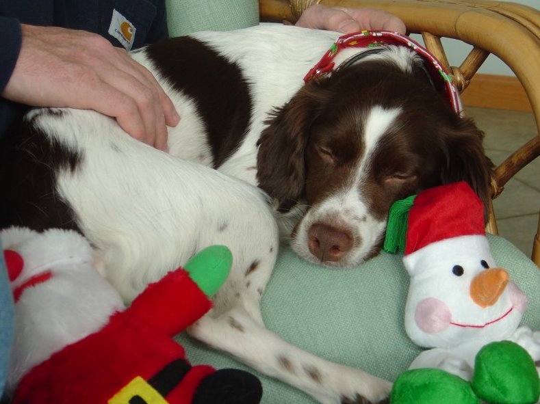 [belle_moving+day.jpg]