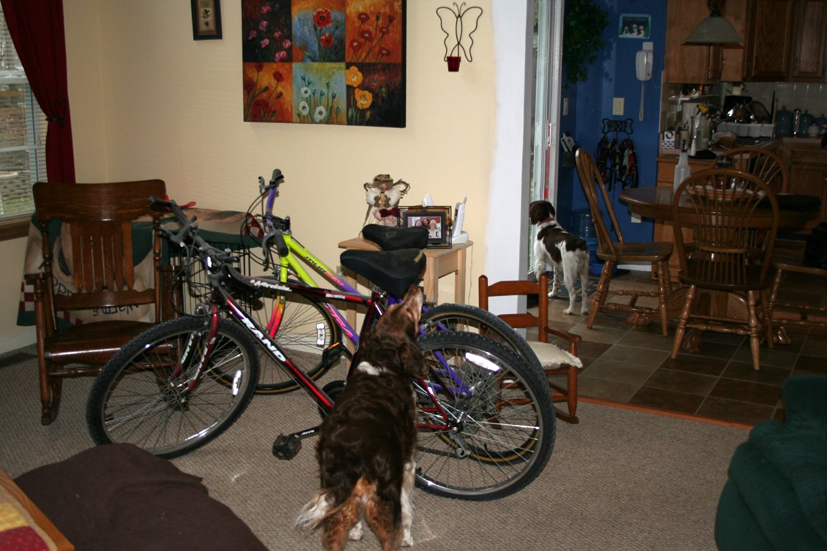 [april-7-both-bikes.jpg]