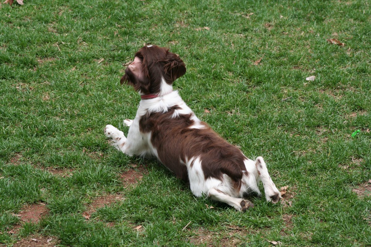 [signs_of_boredom2.jpg]