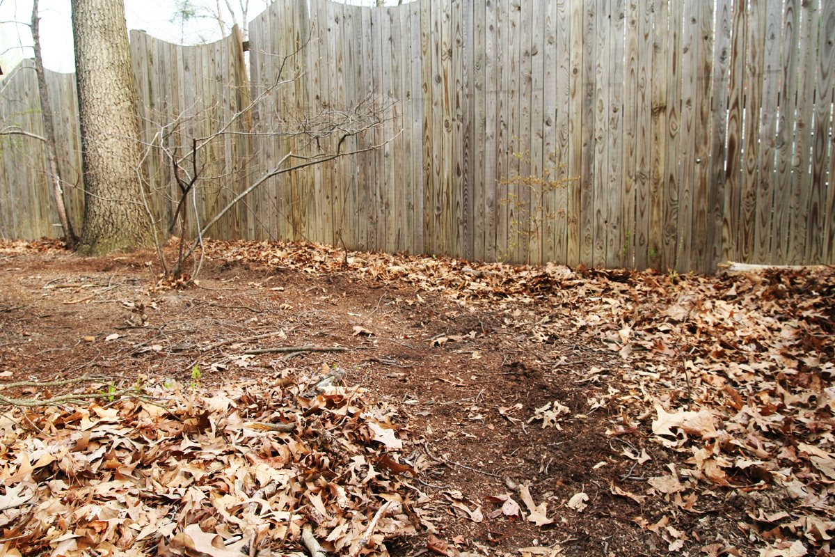 [southern-belle_4.jpg]