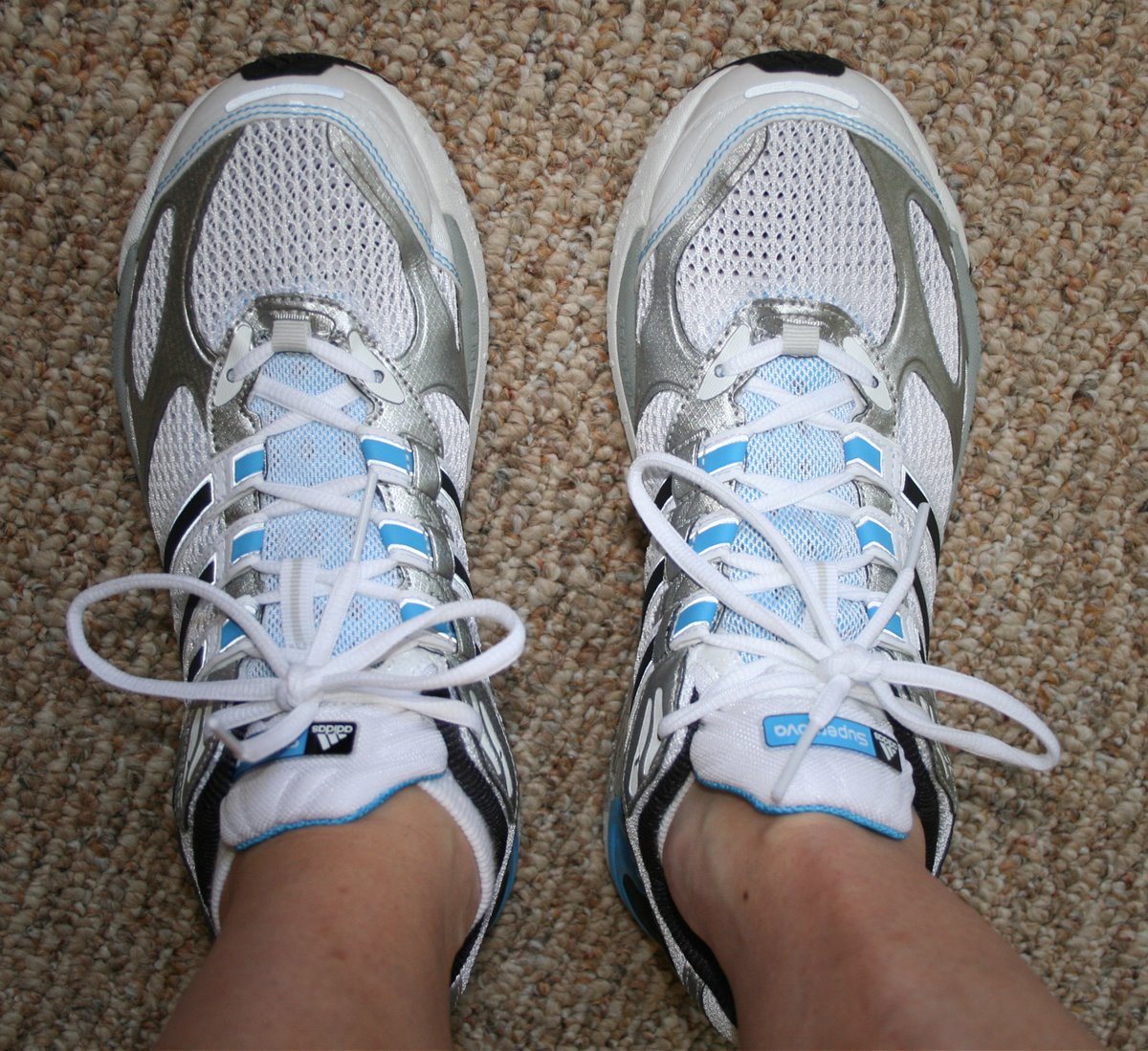 [supernova_sequence.jpg]