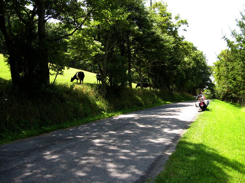 [4_view+from+country+lane.jpg]