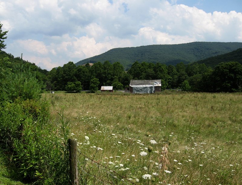 [7_view+from+country+lane.jpg]