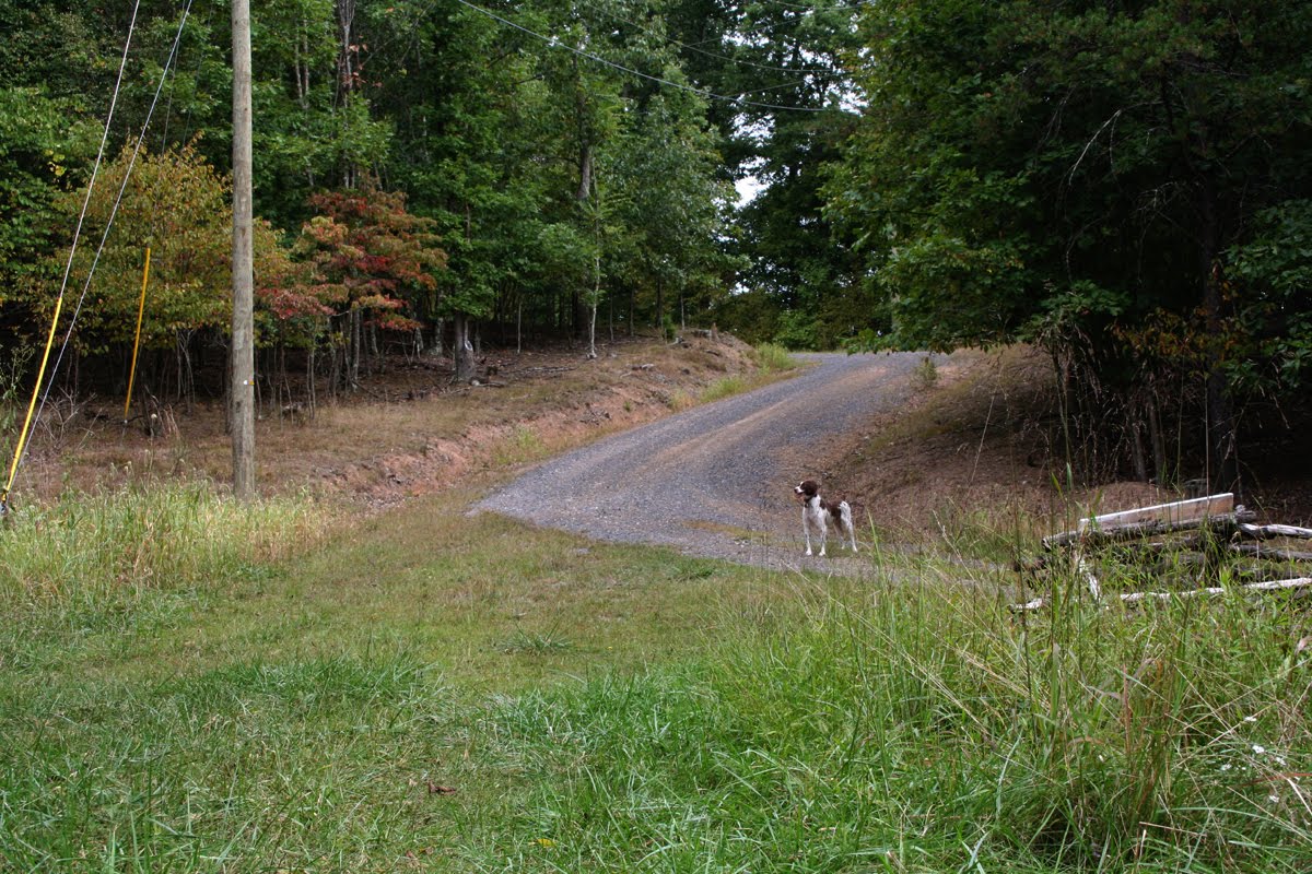 [falls_coming_09.jpg]