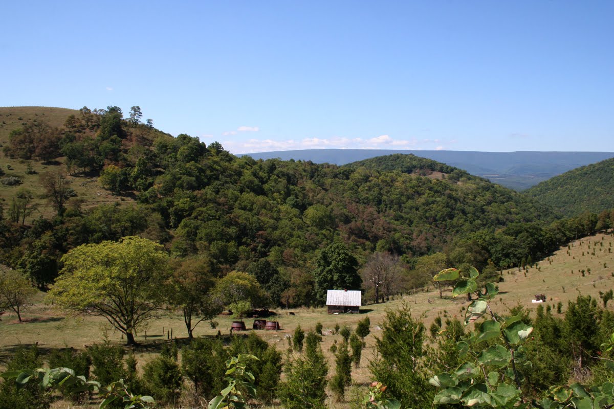 [pic_perf_bikeday_8.jpg]