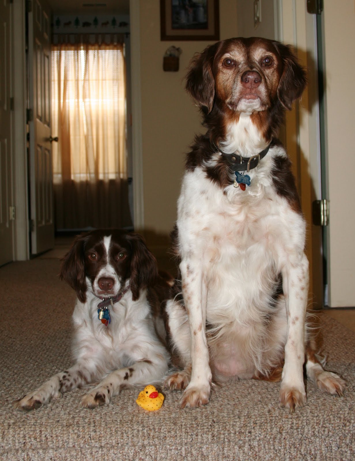 [fd_19_IMG_5666.jpg]