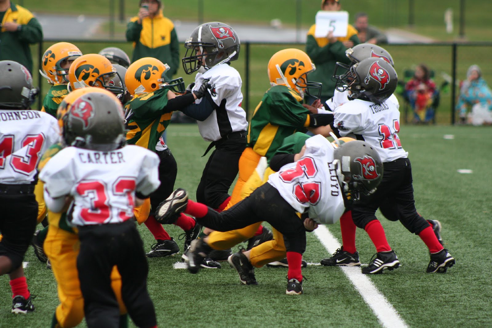 [IMG_5729_small.jpg]