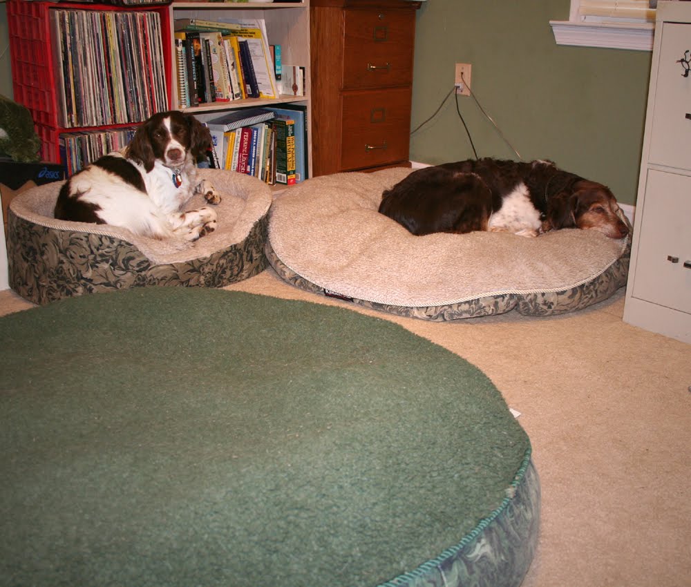 [is_she_here_yet.jpg]