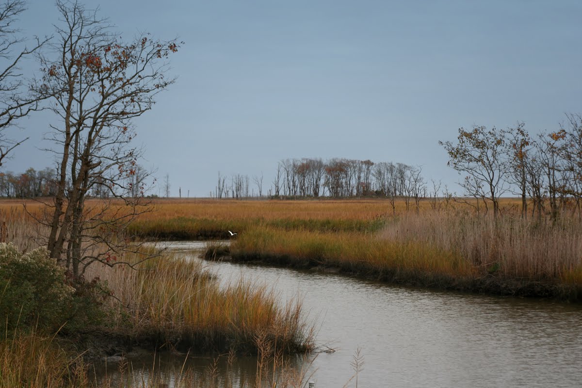 [how_you_see_things.jpg]