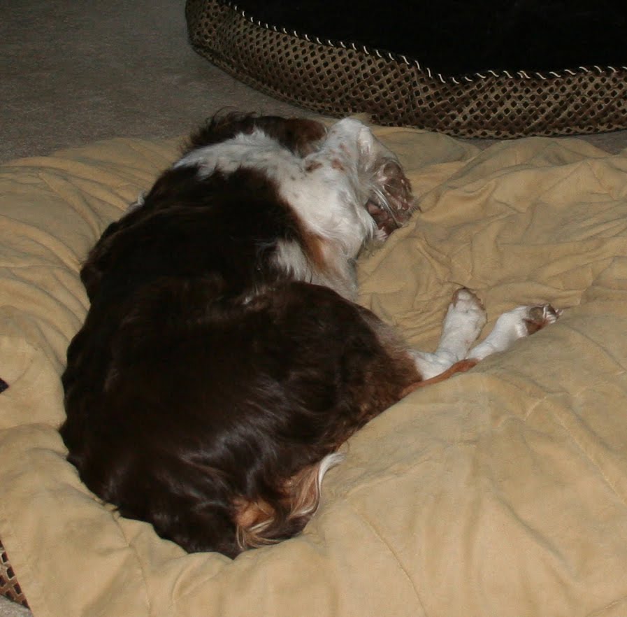 [morning+girl_not.jpg]