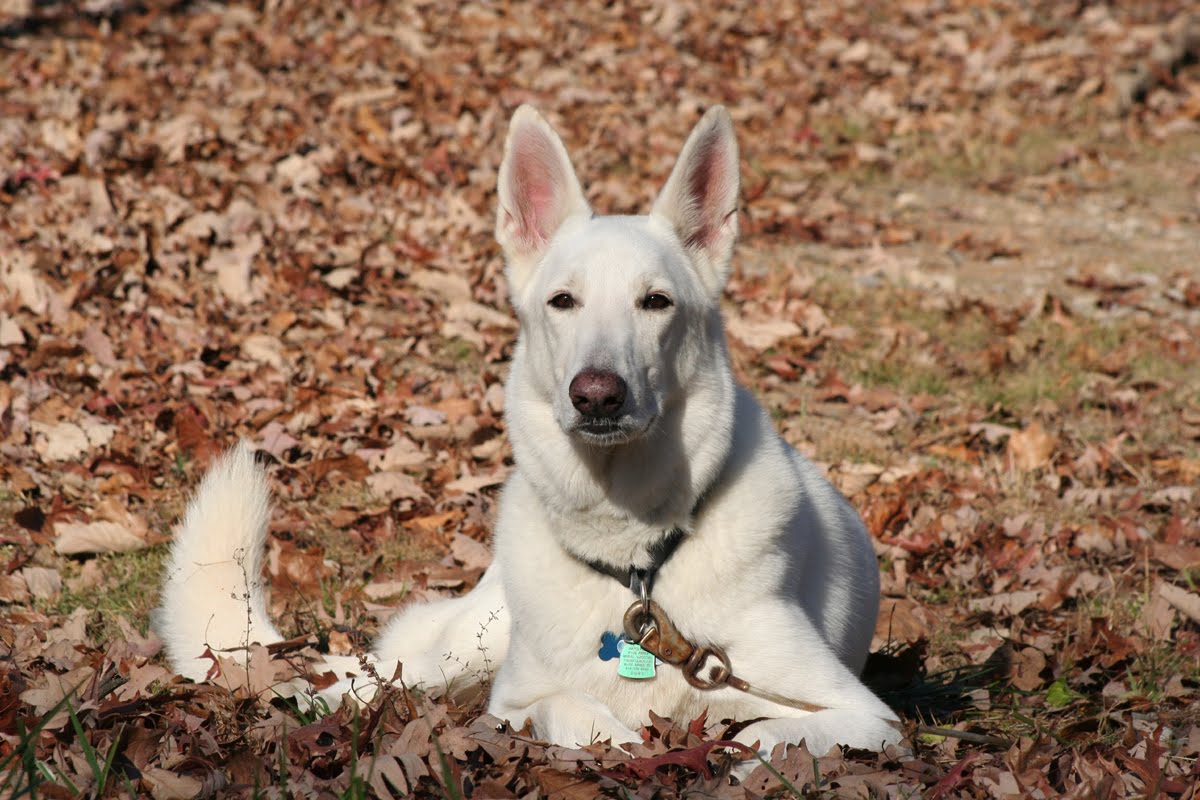 [grandkid_surprise_25.jpg]