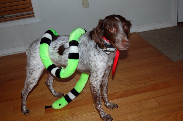 [k_and_her_worm.jpg]