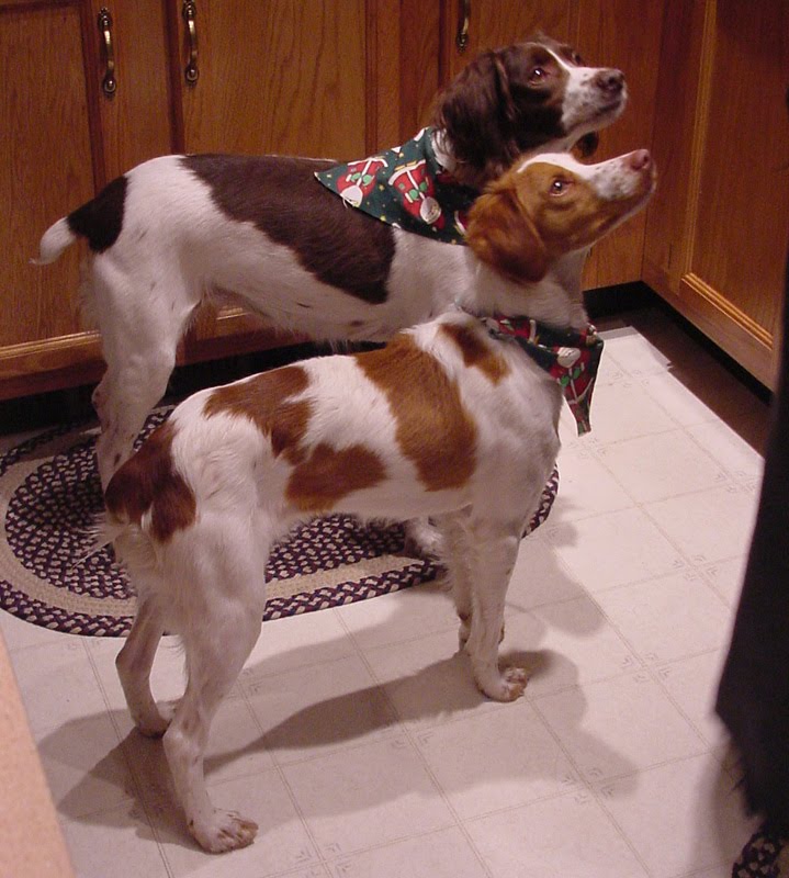 [abr_foster_Tilley.jpg]