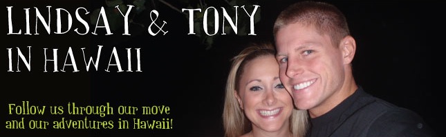 Lindsay and Tony in Hawaii