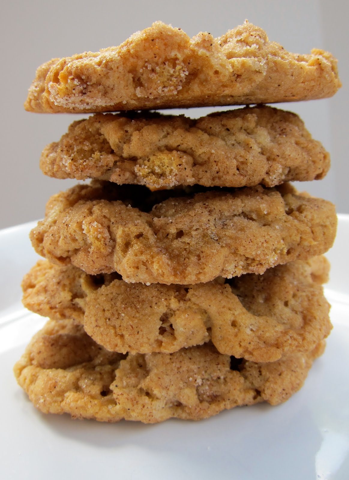 Cinnamon Oat Snickerdoodle Cookies Plain Chicken