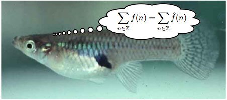 [mosquitofish.jpg]