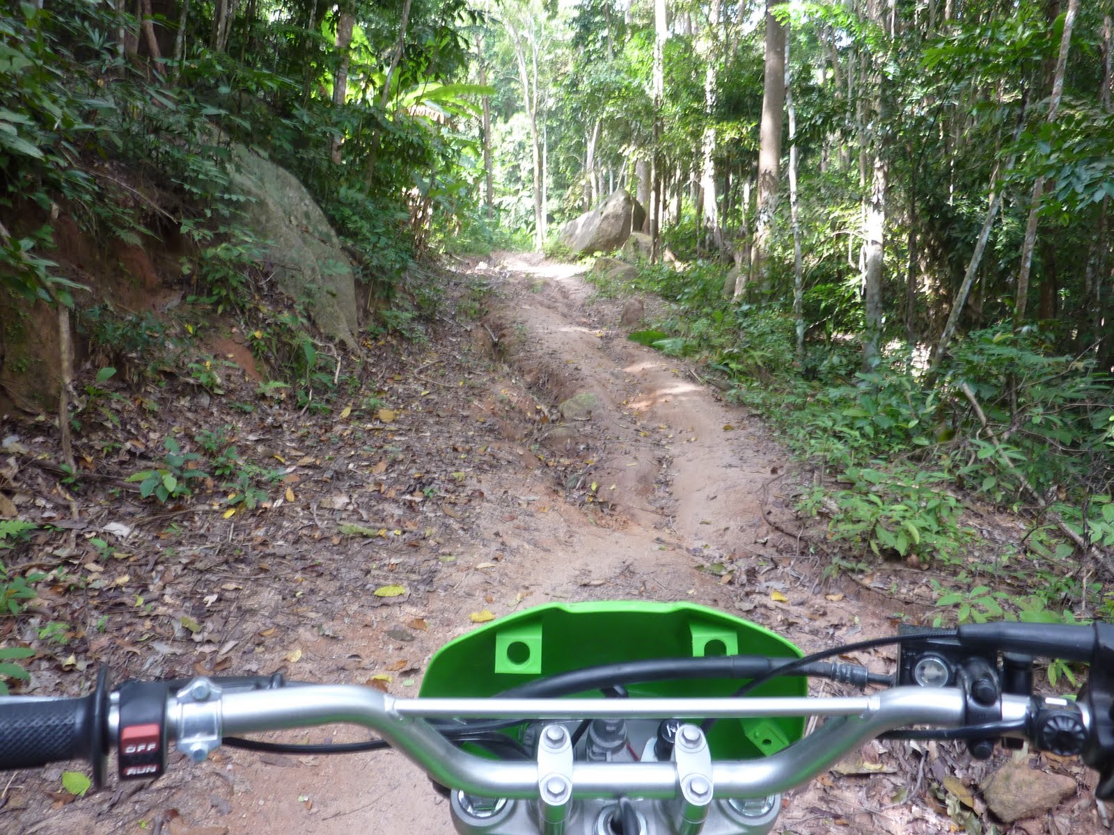[P1000896.JPG]