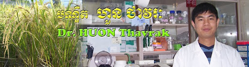 Dr. Thavrak Huon