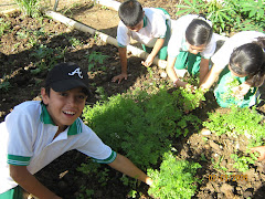 TRABAJANDO EN LA HUERTA