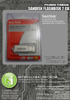 Flashdisk SanDisk 2 GB