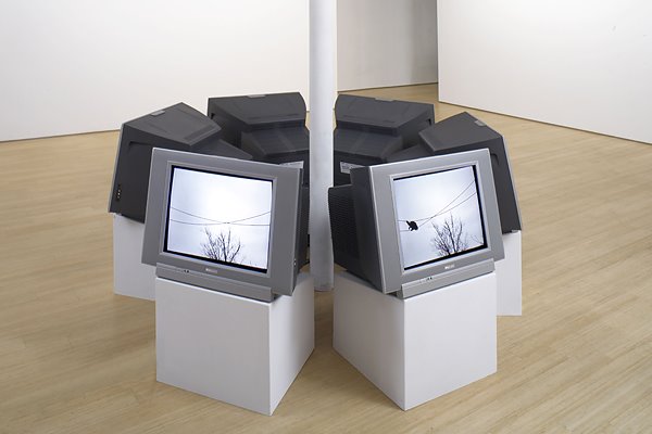 [Katchadourian_Fugitive_installation+view_web.jpg]