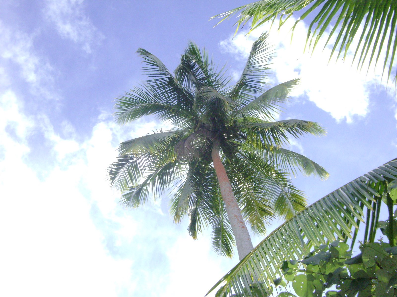 [DSC03303.JPG]
