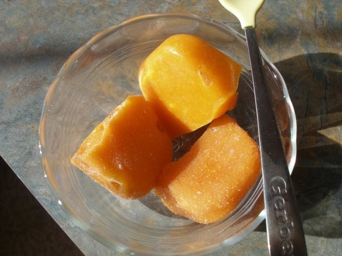 Thy Hand Hath Provided: Homemade Baby Food: Stage One