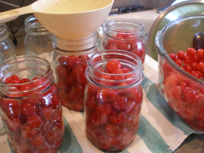 Thy Hand Hath Provided Why Didn't My Jars Seal?