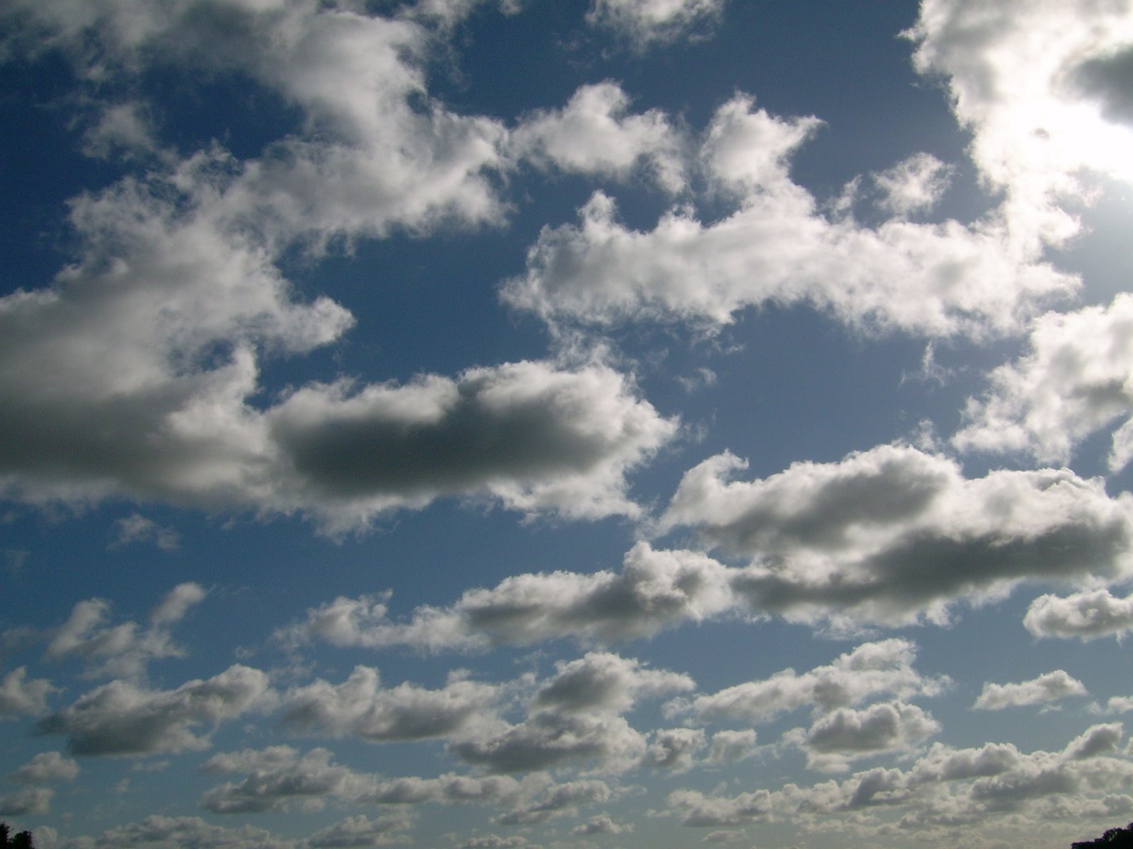 [IMG_3588.JPG]