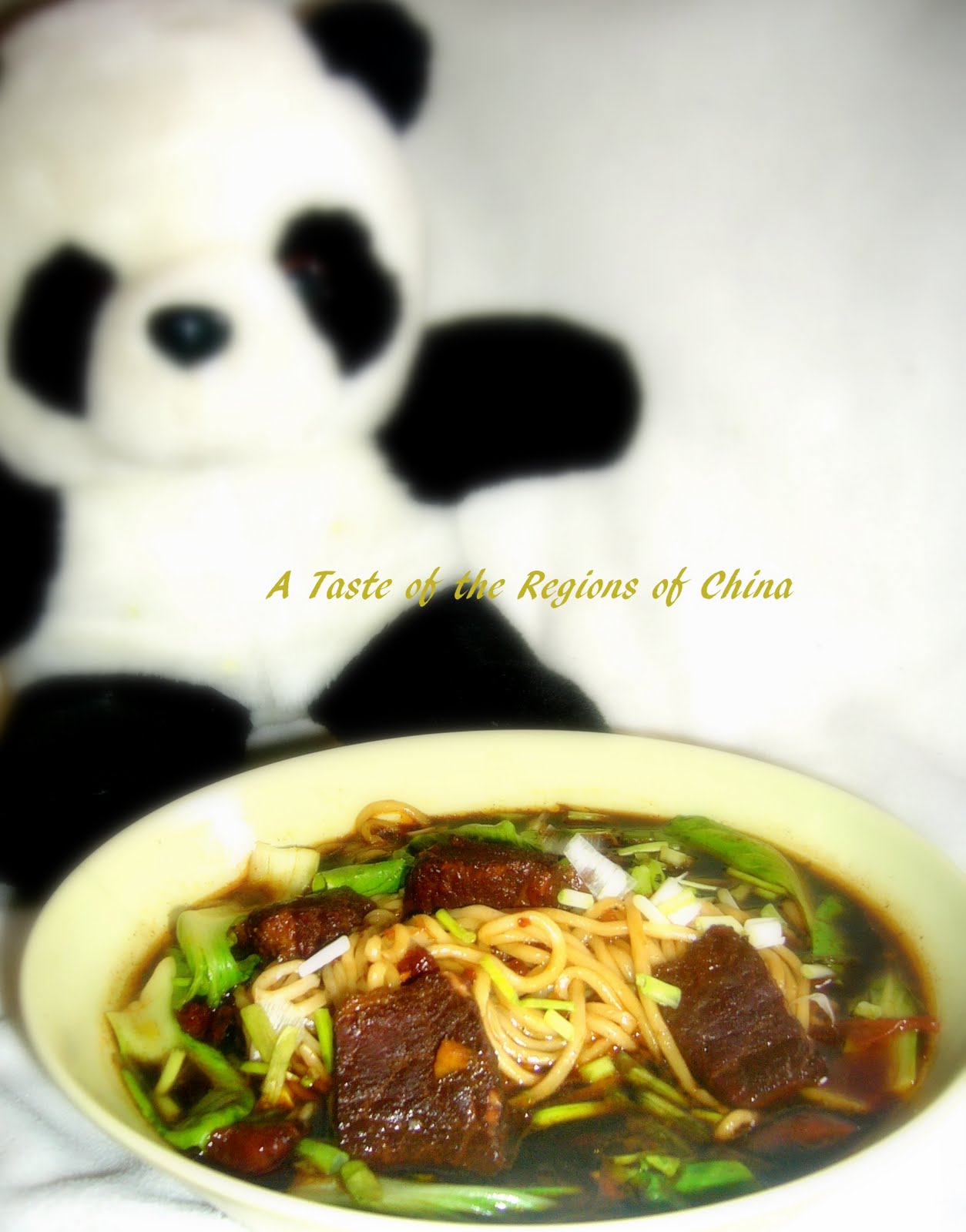 A Taste Of the Regions of China 台式牛肉面汤Taiwan's Famous Beef Noodle Soup