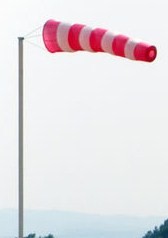 [foto%20biruta3.jpg]