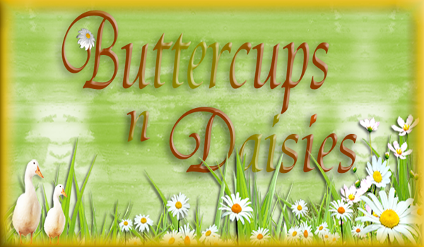 Buttercups N Daisies Scrap Design