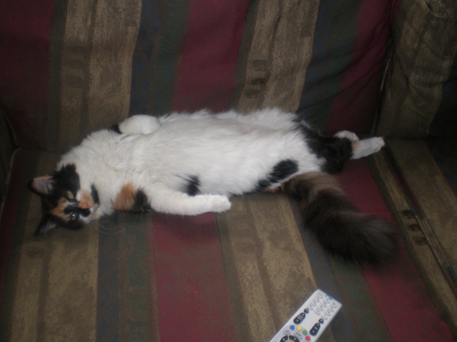 [P9080001.JPG]